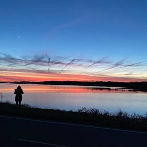 Meet your Posher, Nell